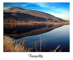 фото "Tranquility"