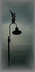 photo "Untitled photo"