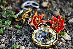 photo "the abandoned old clock"