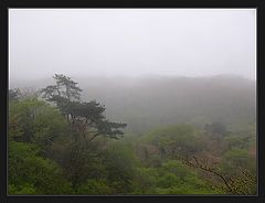 фото "100%humidity"
