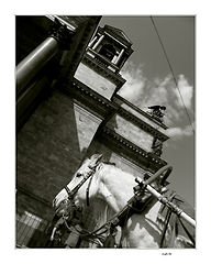 фото "# 32"