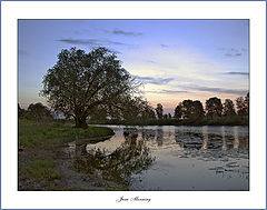 фото "June Morning"