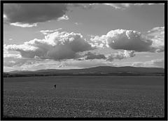 фото "..."