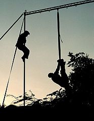 photo "Acrobats"