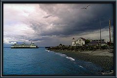 photo "Arriving With Storm"
