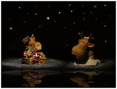 photo "ready for Christmas?"
