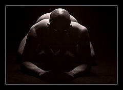 photo "...creature of the night ..."