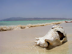 photo "Paradise`s seaside"