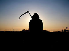 photo "are you ready?"
