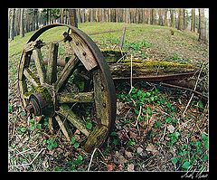 photo "Old cart"