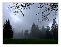 photo "It`s Getting Dark"