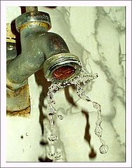 фото "*"