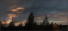 photo "The сasual thriller"