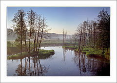 photo "Morning etude"