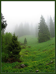 photo "Fog in mountains #2"