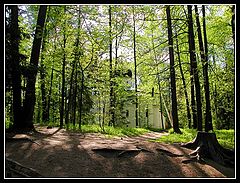 фото "Церковь в парке"