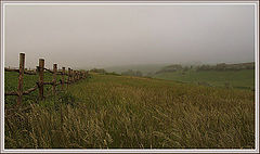 photo "morning foggy #1"