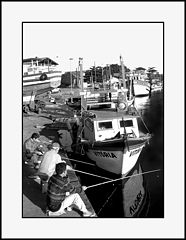 photo "Fishing"