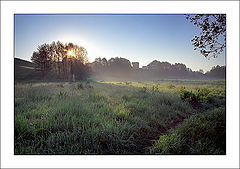 photo "Morning road"