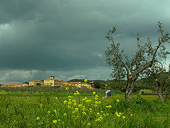 photo "The Farmhouse 2"