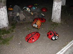 photo "Bugs"