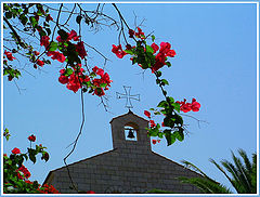 photo "***"