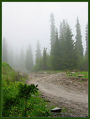 photo "Fog in mountains #3"