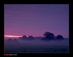 photo "morning 1"