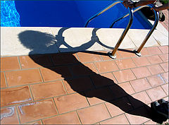 photo "Her shadow"