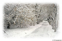 photo "Winter-winter, around winter..."