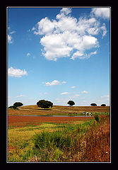 photo "some fine day"
