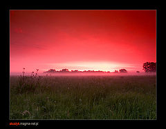 photo "morning 3"