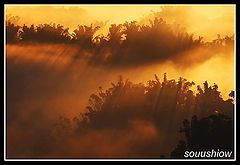 фото "Light"