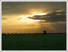 photo "birth of day"