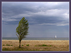 photo "A lone white sail shows for an instant ..."