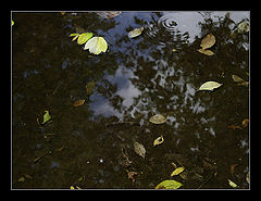 фото ".."