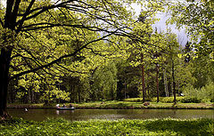 photo "Summer day"