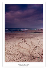 photo "in the sand"