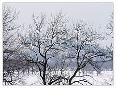 photo "Pochaev monastery"