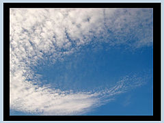 photo "scy"