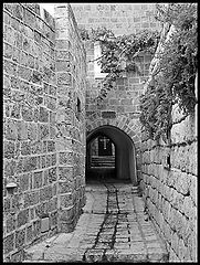фото "Yaffo"