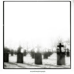 photo "[ ††† ]"