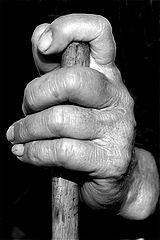 photo "AN OLD HAND"