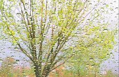 photo "Details of awakening of Spring... (2)"