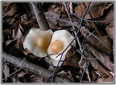photo "Together more warmly"