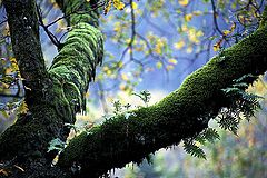 photo "GERES"