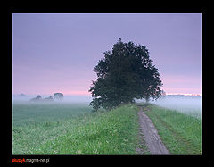 photo "morning 5"
