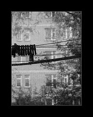 фото "The Dreadful Hours"