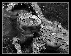 photo "Dust to Dust"