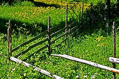 фото "Fence"